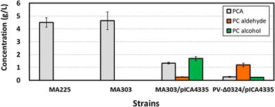 Engineered Corynebacterium glutamicum as the Platform for the Production of Aromatic Aldehydes